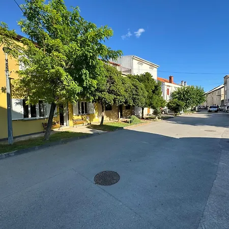 Golija *